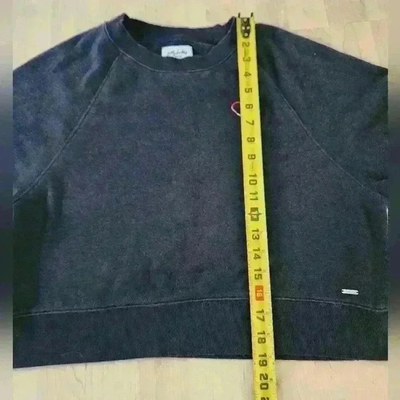 Gilly hicks cropped embroidered heart sweatshirt size small - Picture 3 of 5